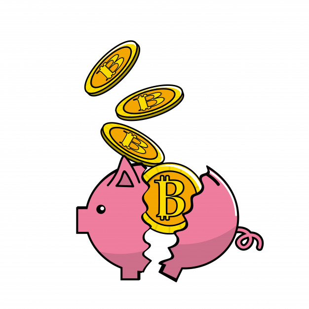 代還款后卡會像這只豬